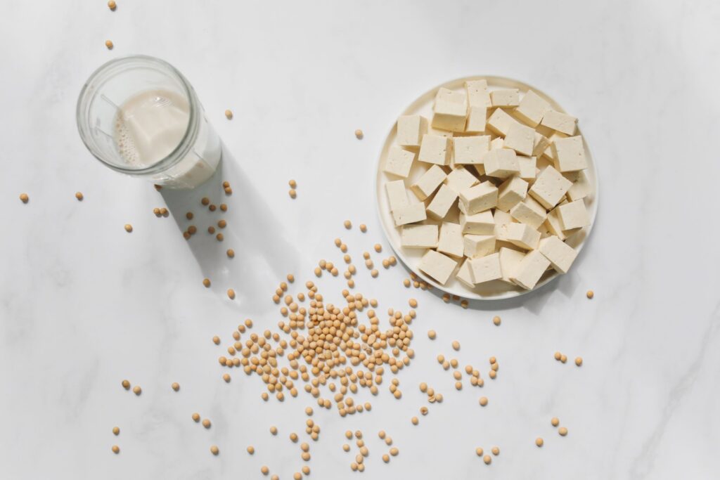 Soy Bean and Tofu