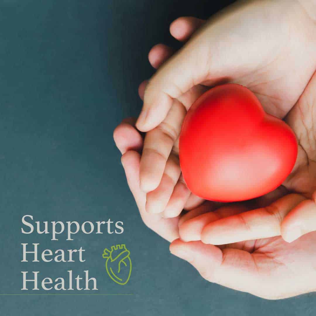 Supports Heart Health