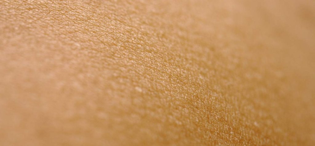 the benefits of bakuchiol