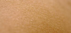 The Benefits of Bakuchiol – The New Beauty Buzzword
