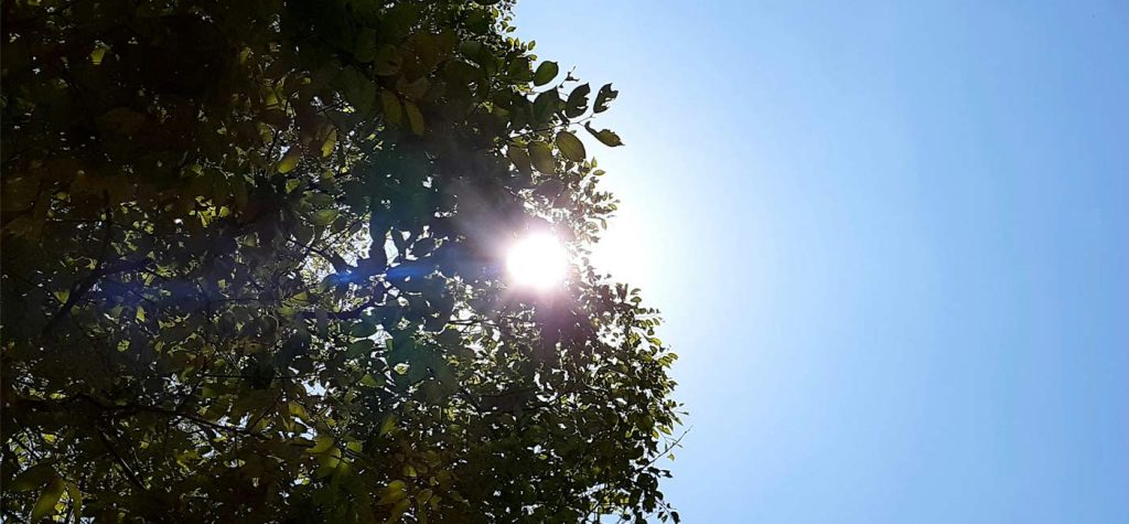 The Importance of Vitamin D