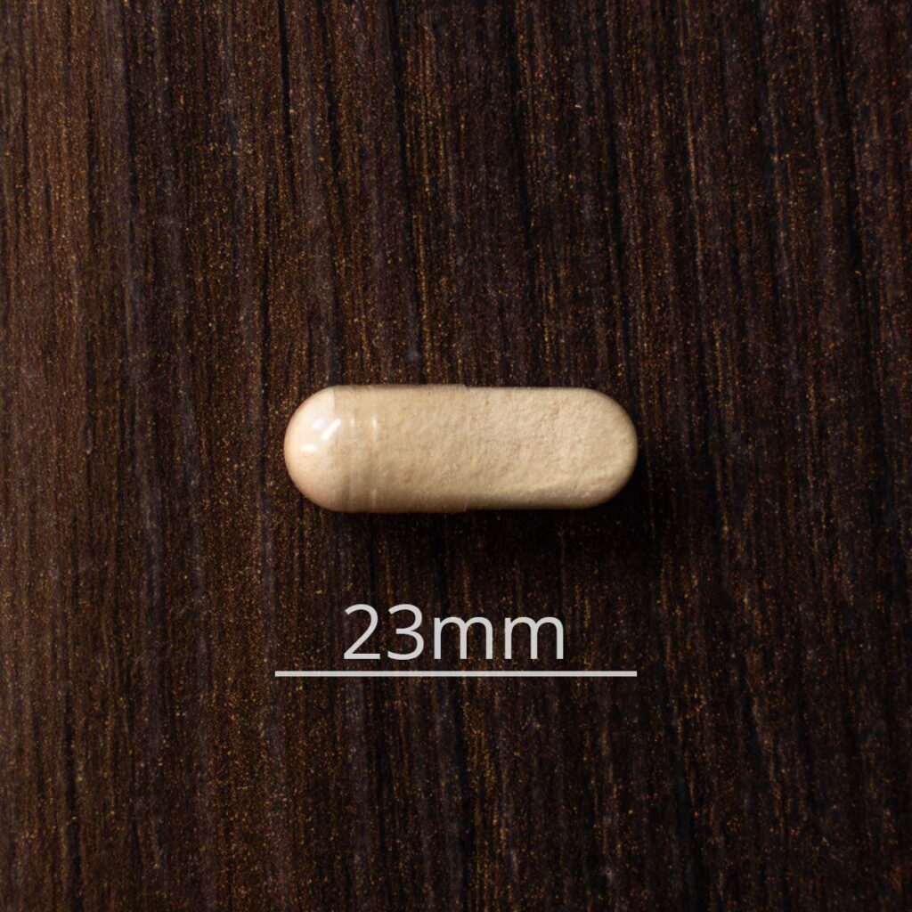 L-Carnitine Plus CoQ10