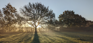 Vitamin D Deficiency Symptoms: Signs to Watch For and How to Support Healthy Levels